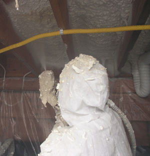 Phoenix AZ crawl space insulation